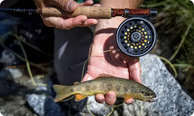 Dry fly fishing