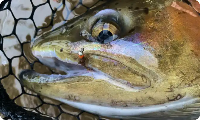 Euro nymphing