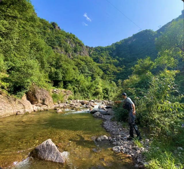 Ega Creek
